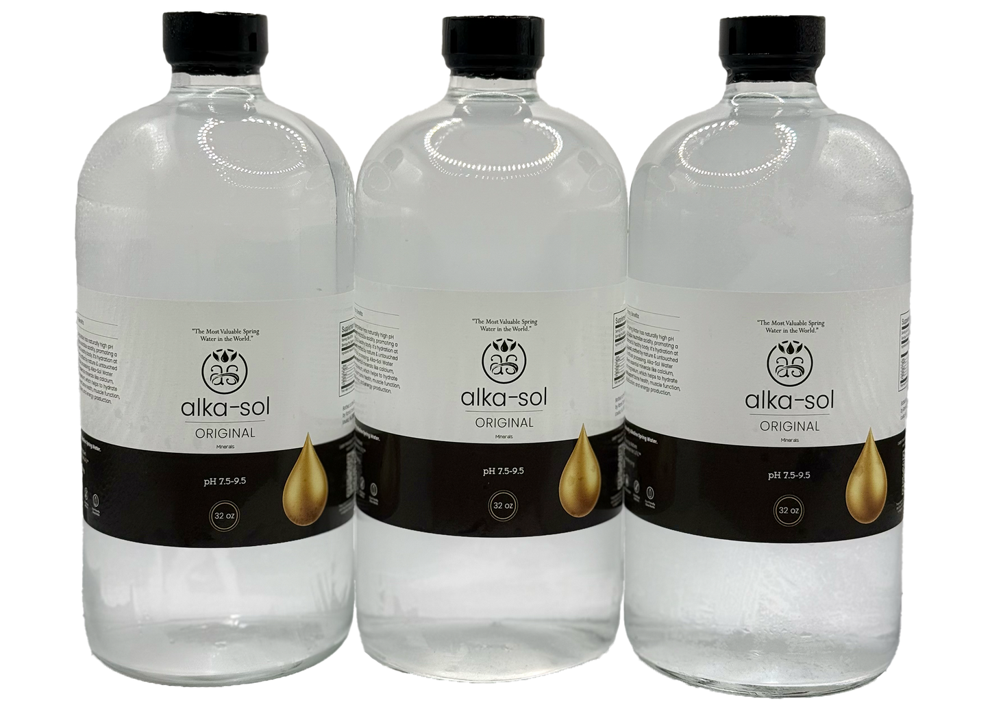 MOST VALUABLE SPRING WATER (3PK - 32oz)