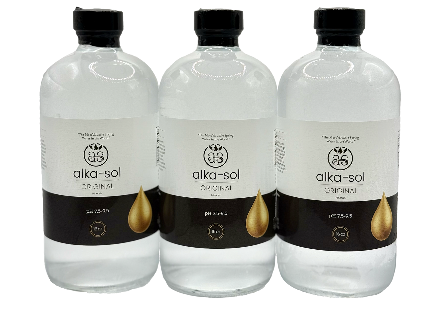 MOST VALUABLE SPRING WATER (COMP 3PK - 16oz)