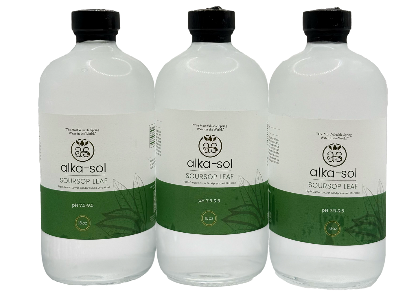 (3pk) SOURSOP LEAF TONIC