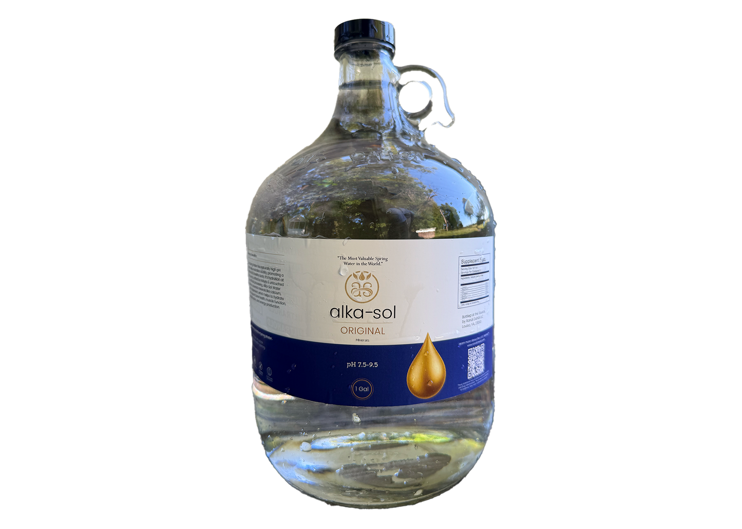 1 Gal