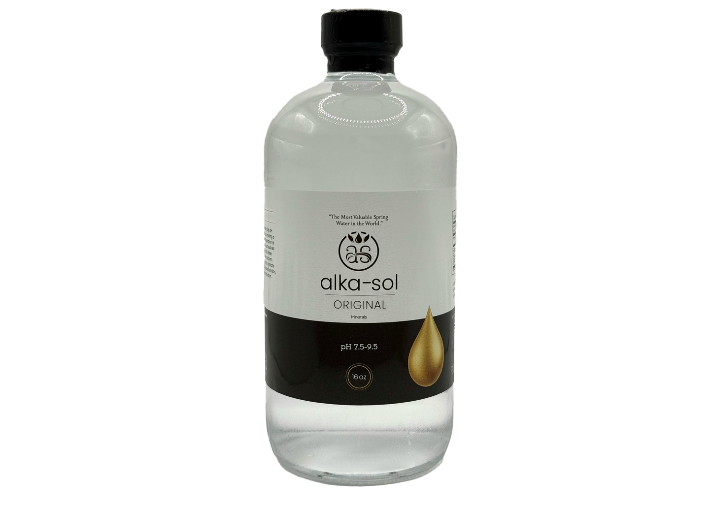 MOST VALUABLE SPRING WATER(16oz)